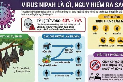PHÒNG CHỐNG DỊCH BỆNH NIPAH