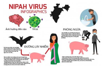 BÀI TUYÊN TRUYỀN  PHÒNG CHỐNG DỊCH BỆNH NIPAH