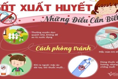 Bài tuyên truyền phòng chống bệnh sốt xuất huyết
